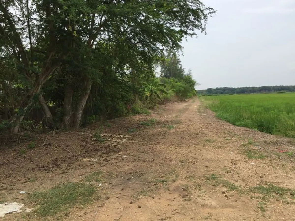 ที่ดินทำเลทอง