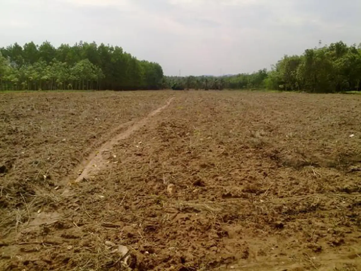 ที่ดินทำเลทอง