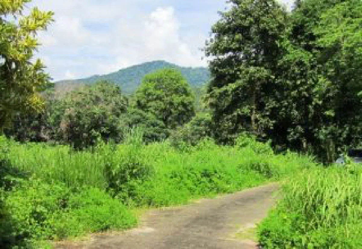 ที่ดินทำเลทอง