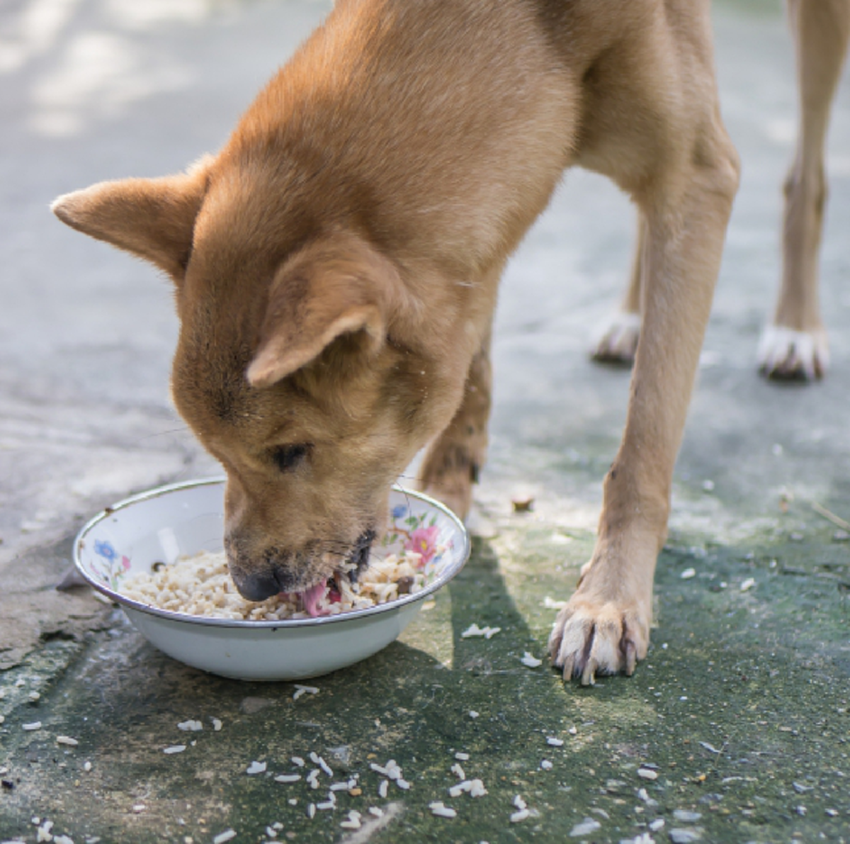 ทำมาหากินไม่ขึ้น 18 ข้อห้าม ตามความเชื่อโบราณ ชีวิตจะตกต่ำมีแต่เรื่อง
