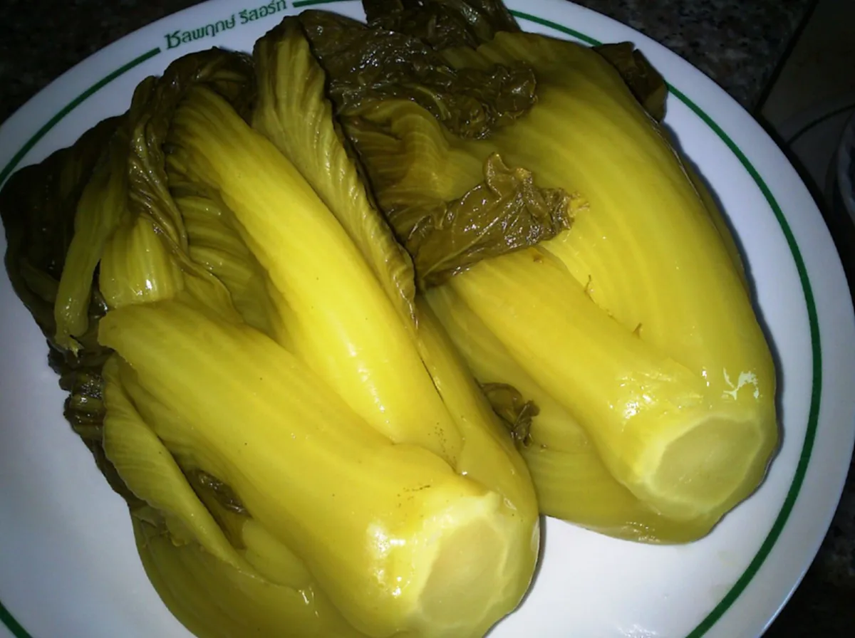 ผักกาดดอง