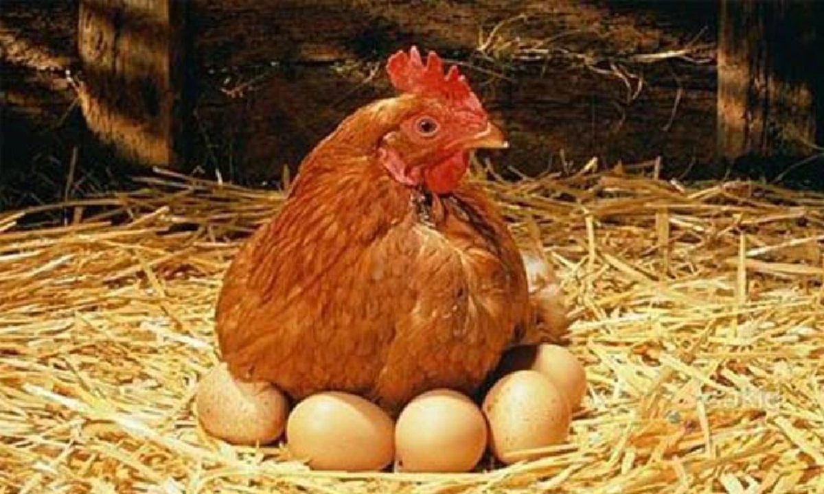 "15 ความฝัน" ที่บ่งบอกว่าคุณกำลังมีโชค เงินทองวิ่งเข้าหา รับทรัพย์ก้อนโต