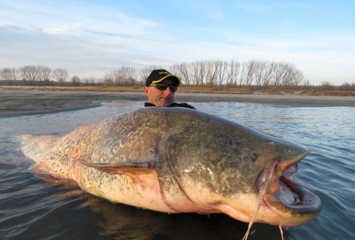 "15 ความฝัน" ที่บ่งบอกว่าคุณกำลังมีโชค เงินทองวิ่งเข้าหา รับทรัพย์ก้อนโต