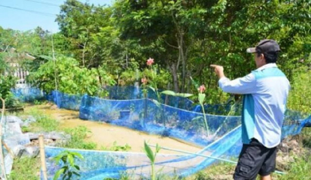 พญาแร้งดูดน้ำ