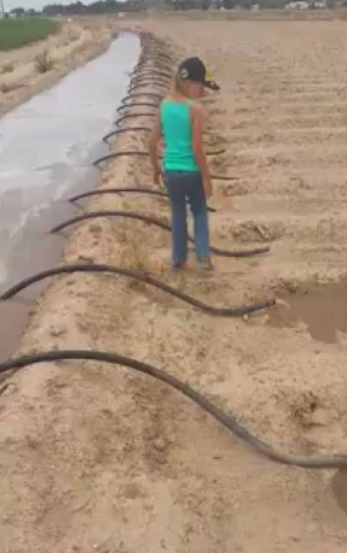 "สาวน้อย" ช่วยคุณพ่อเอาน้ำเข้าไร่ ไม่ต้องเสียค่าน้ำ-ค่าไฟ แถมลดค่าใช้จ่าย (คลิป)