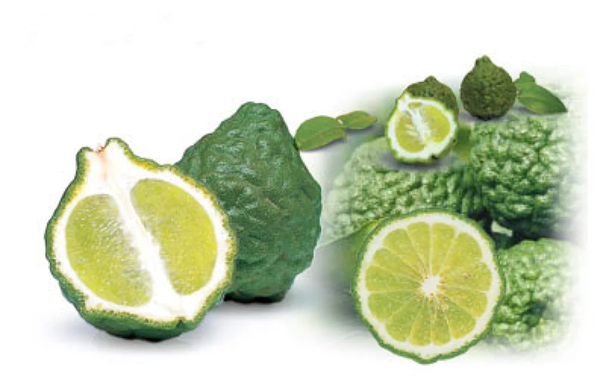 มะกรูด 1