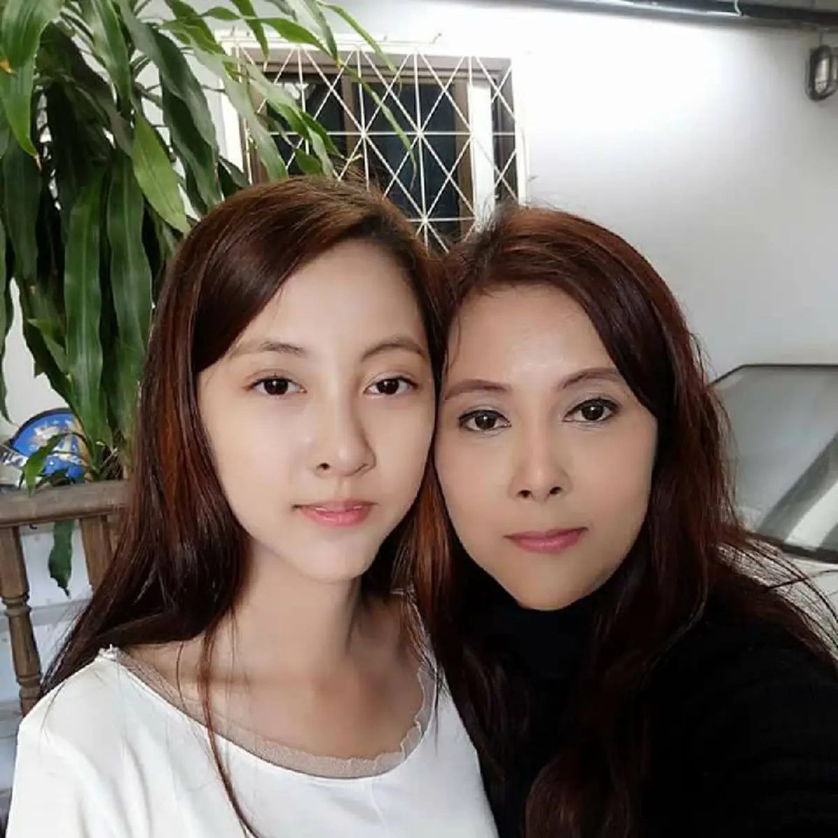 ปุยฝ้าย