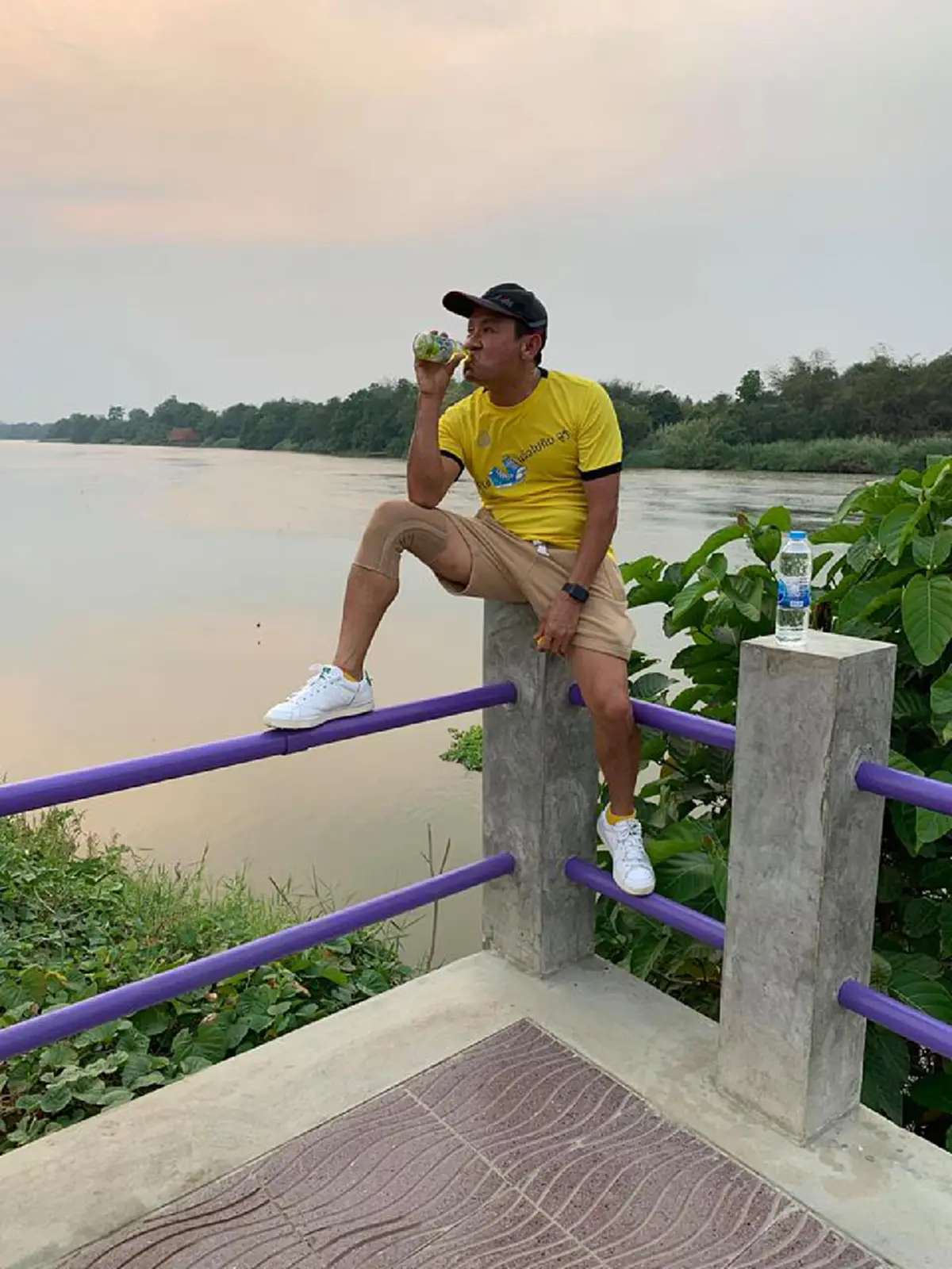 ปุยฝ้าย