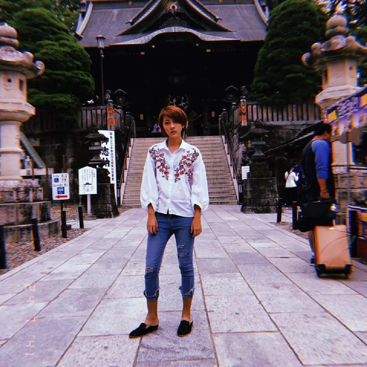 ปุยฝ้าย