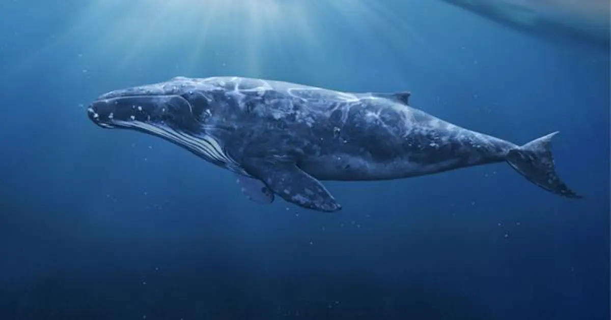 ข้อห้ามแปลกๆ ของ ประเทศต่างๆ