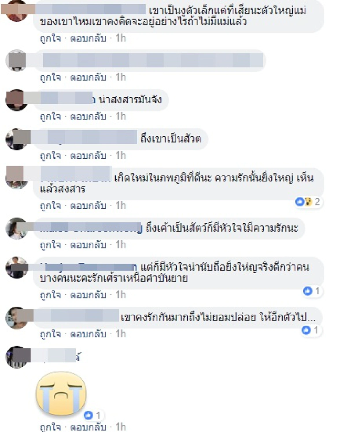 เห็นแล้วถึงกับขนลุก!! ความรักที่ยิ่งใหญ่ เมื่อ  "งู" เฝ้าศพ "งู" อีกตัว ที่โดนรถทับตายไม่ยอมห่าง! (มีคลิป)