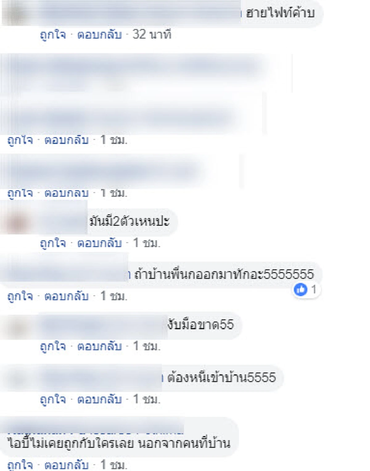 ตูบแสนรู้ชอบโผล่หน้า กวักมือทักทายหญิงสาว ก่อนไปทำงานทุกวัน