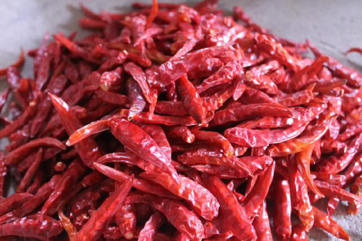 เคล็ดลับตากเนื้อแดดเดียว ไม่ให้แมลงวันตอม ด้วยขั้นตอนง่ายๆ