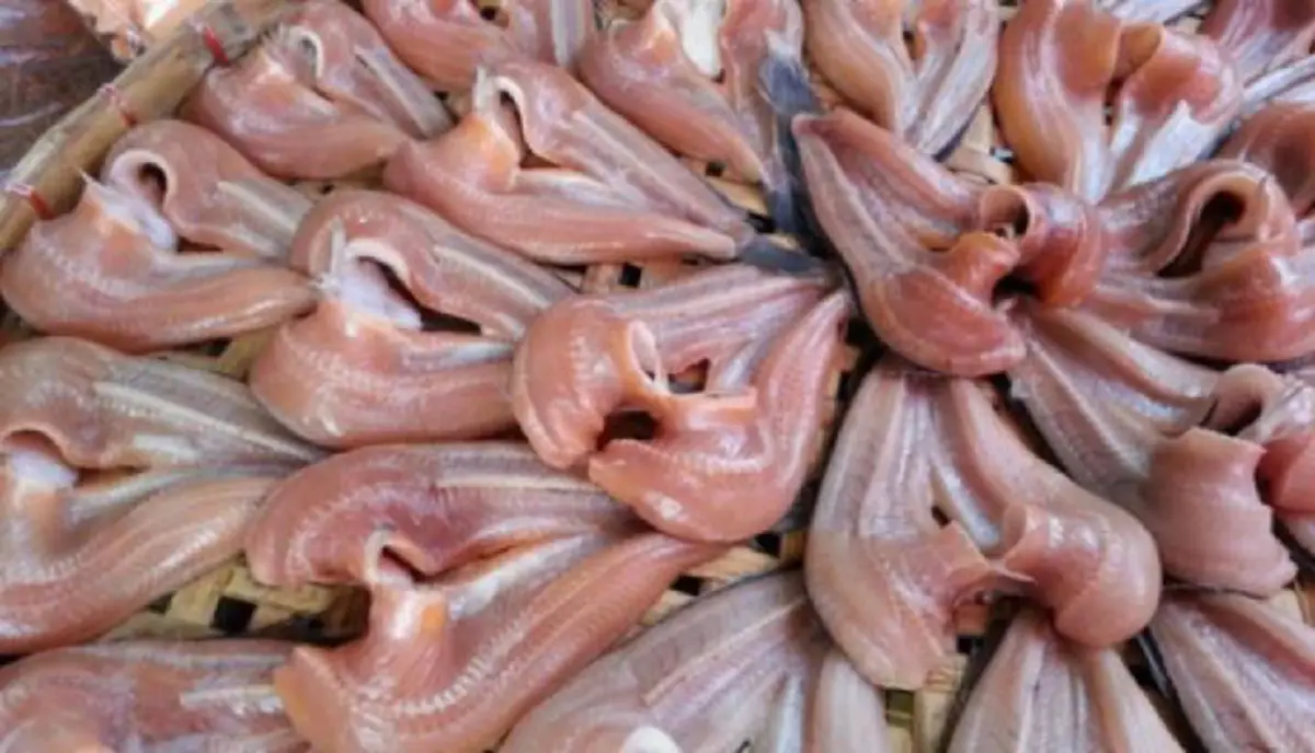 เคล็ดลับตากเนื้อแดดเดียว ไม่ให้แมลงวันตอม ด้วยขั้นตอนง่ายๆ