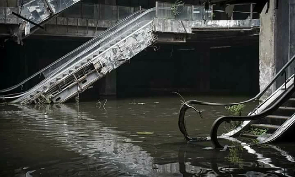 วังมัจฉา ซากโศกนาฏกรรม สู่แหล่งที่อยู่ เหล่าปลานานาชนิด