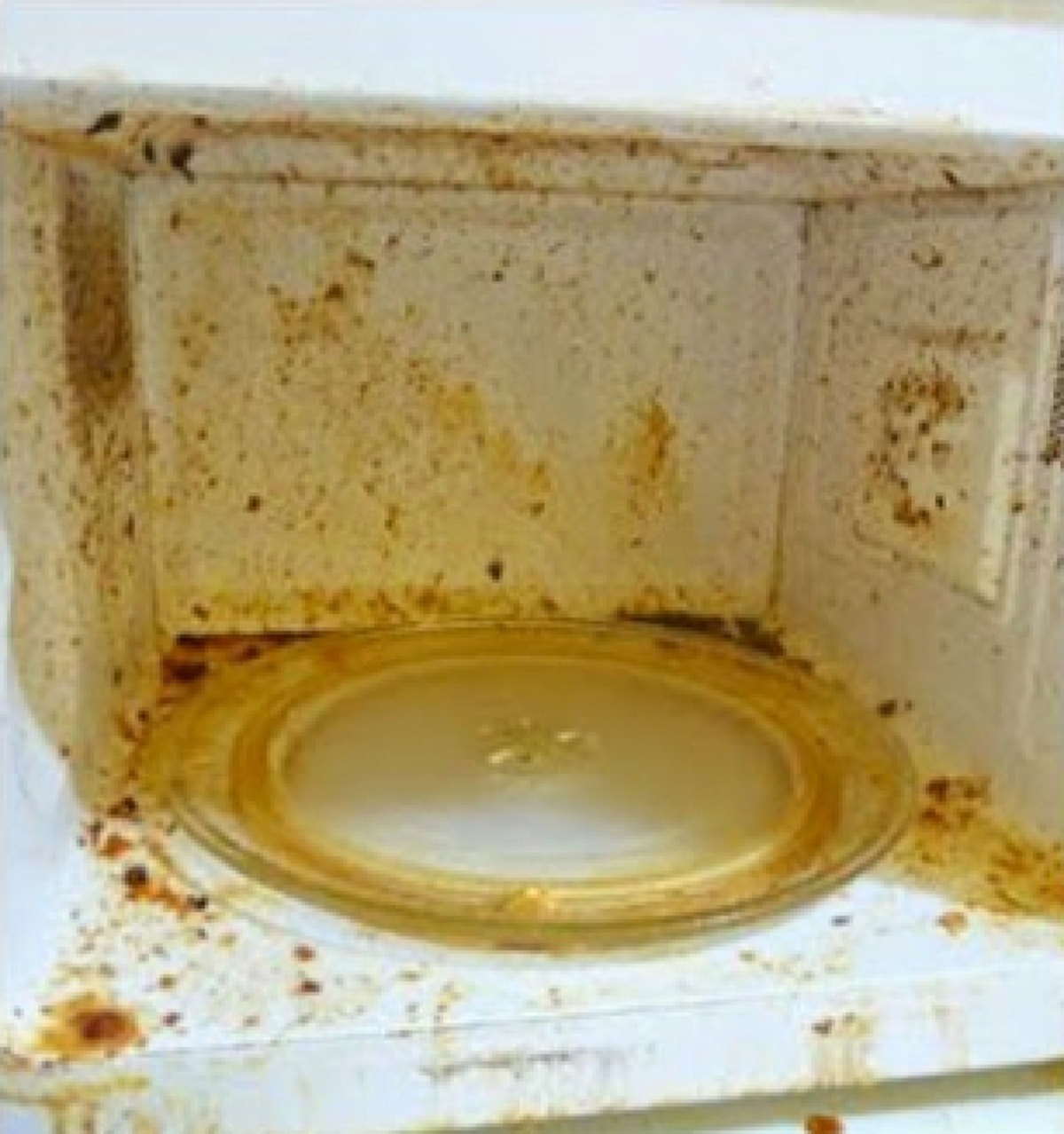 ไมโครเวฟ