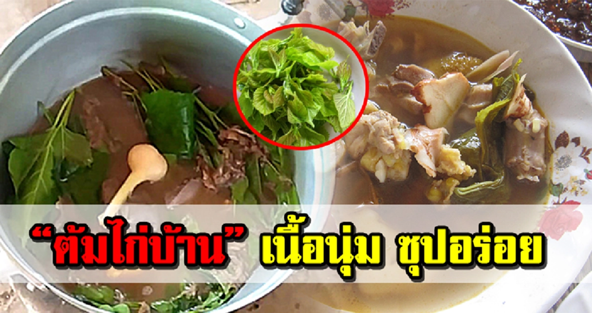 วิธี ต้มไก่บ้าน ให้เนื้อนุ่ม น้ำซุปอร่อย ด้วยใบสมุนไพร