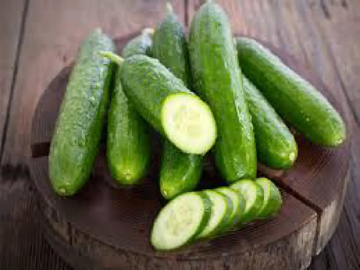 แตงกวา มากประโยชน์ กำจัดของเสียตกค้างในร่างกาย