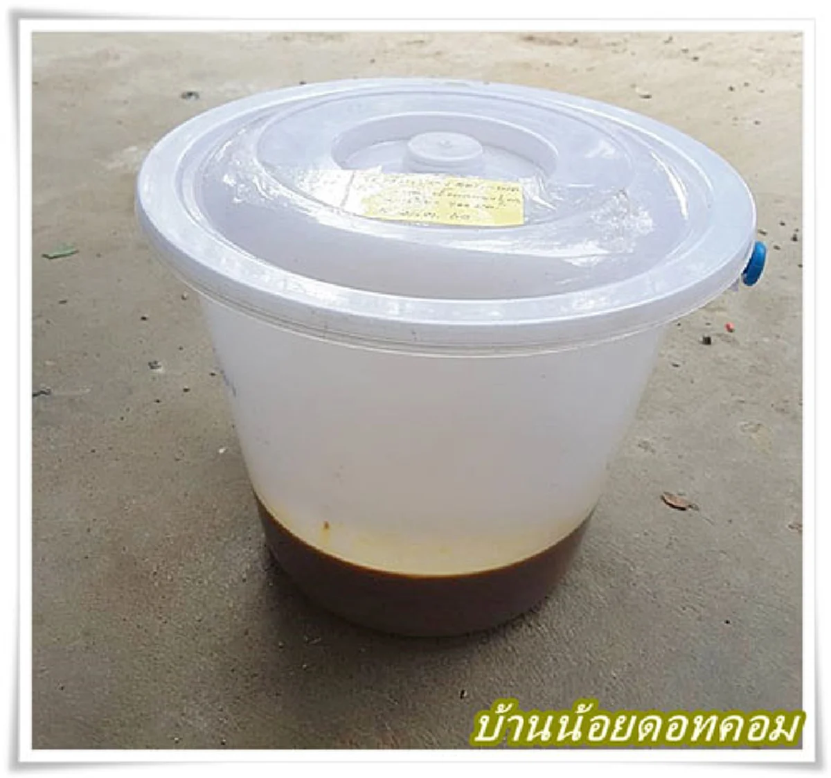 ปุ๋ยฮอร์โมน ส่วนผสม 4 อย่าง บำรุงพืชผักโตไว ไร้สารเคมี