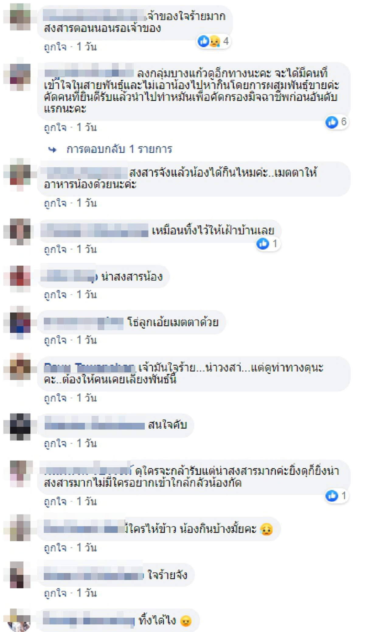 เจ้าตูบผู้น่าสงสาร เจ้าของย้ายบ้านแล้วไม่เอาน้องไปด้วย