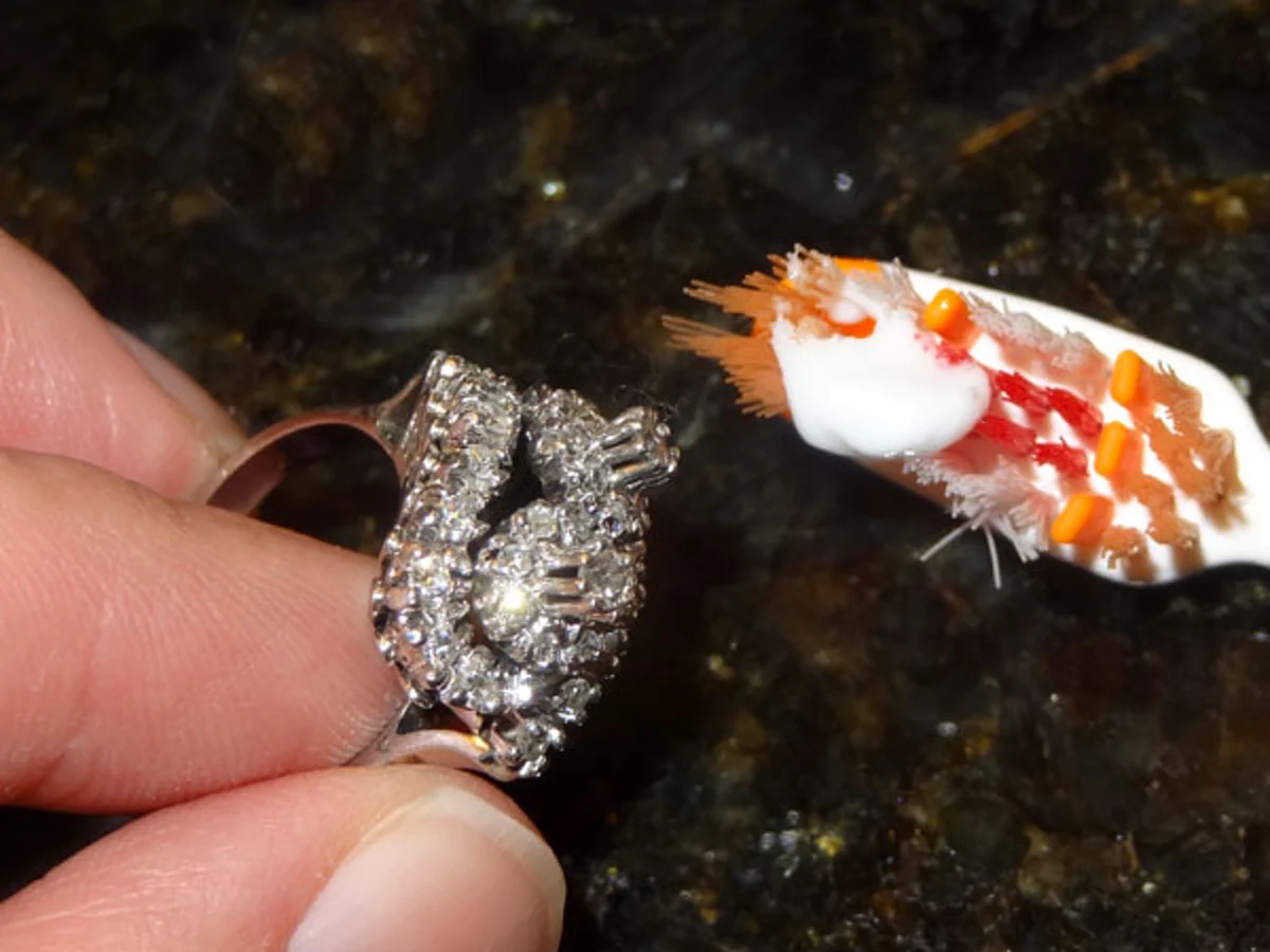 เเชร์เก็บไว้เลย!! 15 วิธีใช้ยาสีฟันให้เป็นประโยชน์ ไม่ลองทำตาม ถือว่าพลาดอย่างแรง