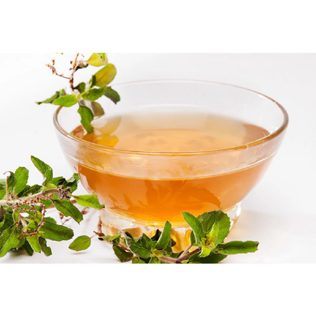 #แพทย์แนะ! น้ำต้มใบกะเพรา สิ่งวิเศษจากธรรมชาติ ช่วยบรรเทาอาการกรดไหลย้อนอย่างได้ผล บอกเลยว่าดีมากๆ