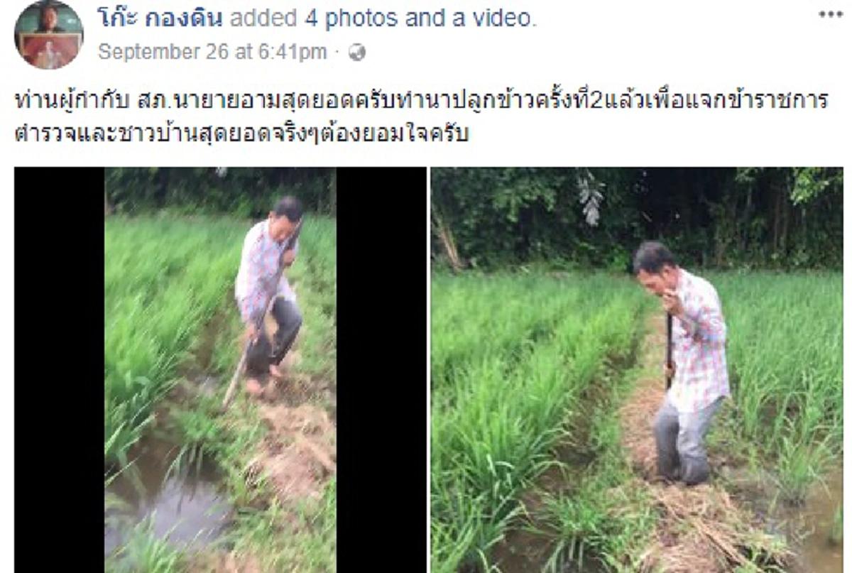ไอดอลแบบนี้สิต้องยกย่อง!! โซเชียลแห่แชร์คลิปชายลุยเท้าทำนาข้าวไม่กลัวแดดฝน ก่อนรู้ประวัติทำเอาอึ้งเป็นถึงนายตร.ยศใหญ่ผลผลิตได้มาเอาไปแจกฟรี?