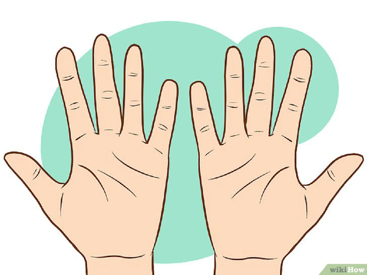 ภาพฝ่ามือ