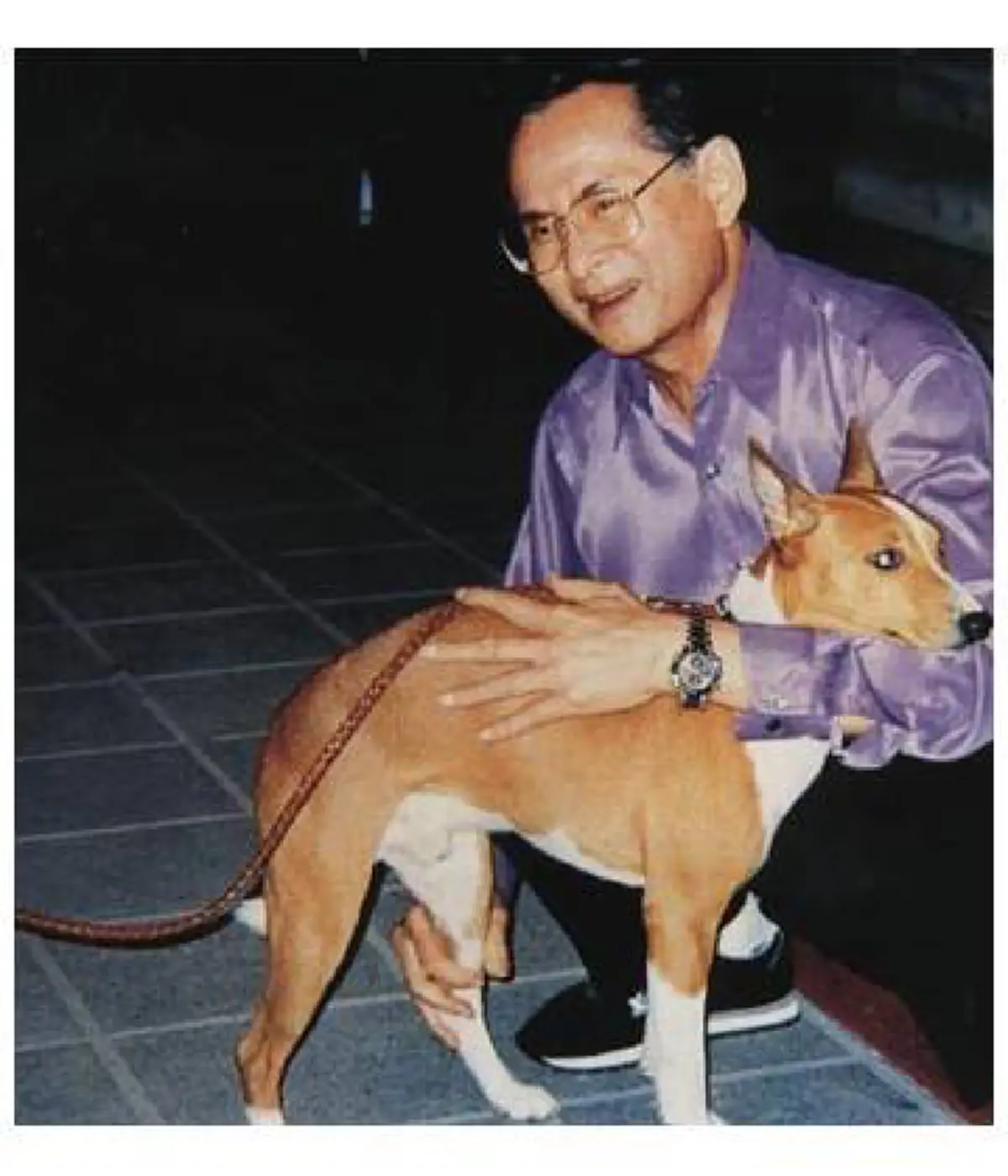 เผยประวัติ!! คุณทองแดง สุนัขทรงเลี้ยงแสนรู้ของพ่อหลวงรัชกาลที่๙ (รายละเอียด)