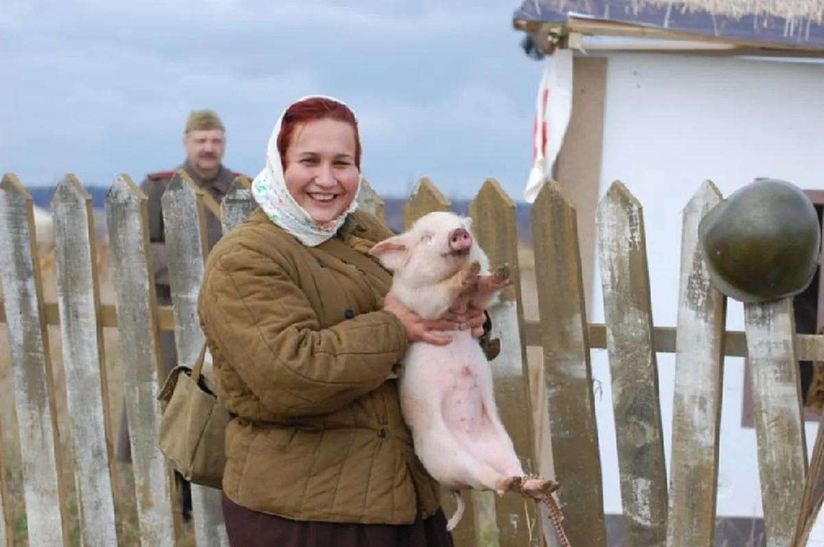 เปิดเรื่องจริง !!! "สงครามหมู" ที่เกือบทำให้สหรัฐกับอังกฤษต้องรบกันเพราะ "หมู" ตัวเดียว