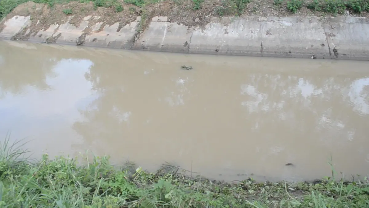 หนุ่มชลประทาน ยอมเสี่ยงชีวิต ลงน้ำไปเอาผักตบชวาออก เพื่อเปิดทางน้ำ แต่สุดท้ายโดนกระแสน้ำดูดจมหาย