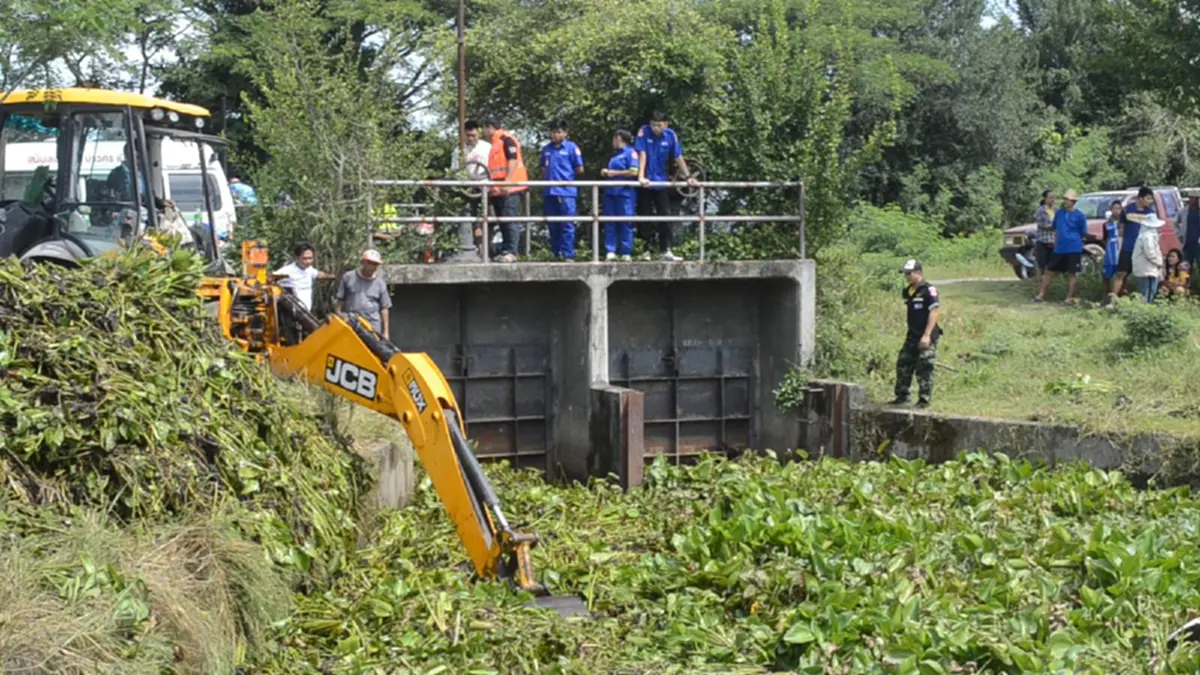 หนุ่มชลประทาน ยอมเสี่ยงชีวิต ลงน้ำไปเอาผักตบชวาออก เพื่อเปิดทางน้ำ แต่สุดท้ายโดนกระแสน้ำดูดจมหาย