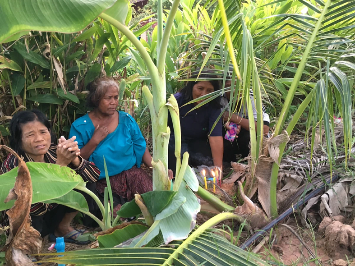 คอหวยห้ามพลาด!! ฝันเห็นหญิงสาวใส่ชุดขาว ก่อนพบยอดมะพร้าวคล้ายงาช้าง แห่ขอโชคลาภ