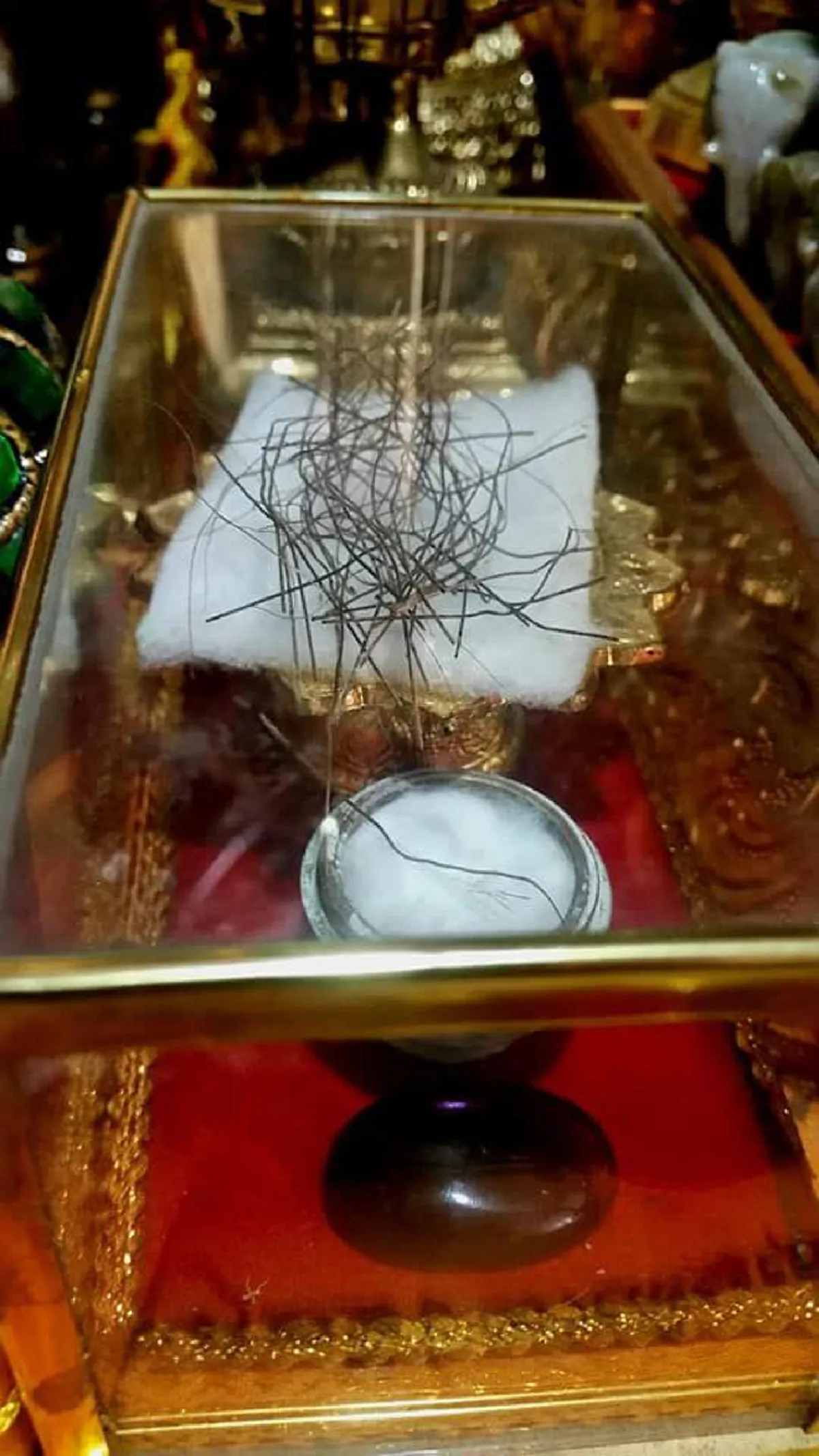 ตีแผ่ความจริง พระเกศาธาตุ ปาฎิหาร์ยเส้นผมของพระพุทธเจ้า เคลื่อนไหวได้เมื่อโดนน้ำ