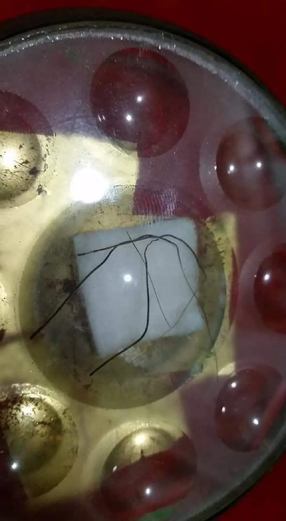 ตีแผ่ความจริง พระเกศาธาตุ ปาฎิหาร์ยเส้นผมของพระพุทธเจ้า เคลื่อนไหวได้เมื่อโดนน้ำ