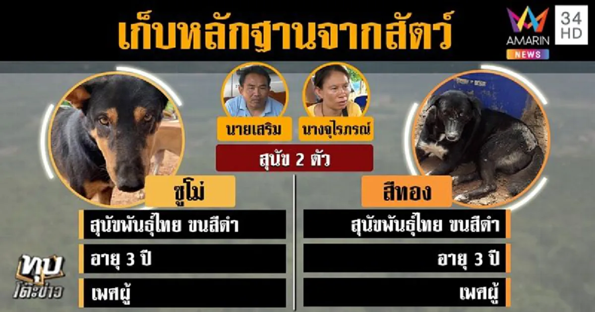 จนท.เจอหลักฐานสำคัญ บนตัวน้องชมพู่ เร่งพิสูจน์ เค้น 8 คนจ่อจับ