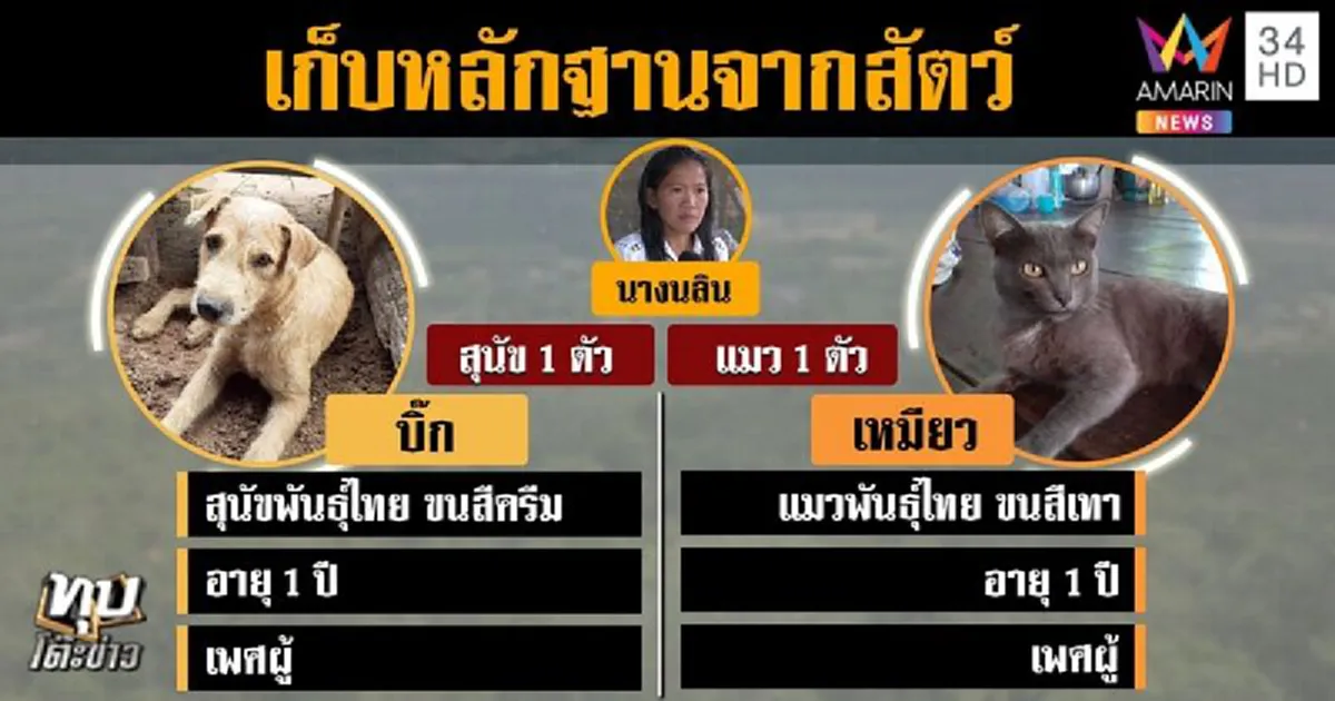 จนท.เจอหลักฐานสำคัญ บนตัวน้องชมพู่ เร่งพิสูจน์ เค้น 8 คนจ่อจับ