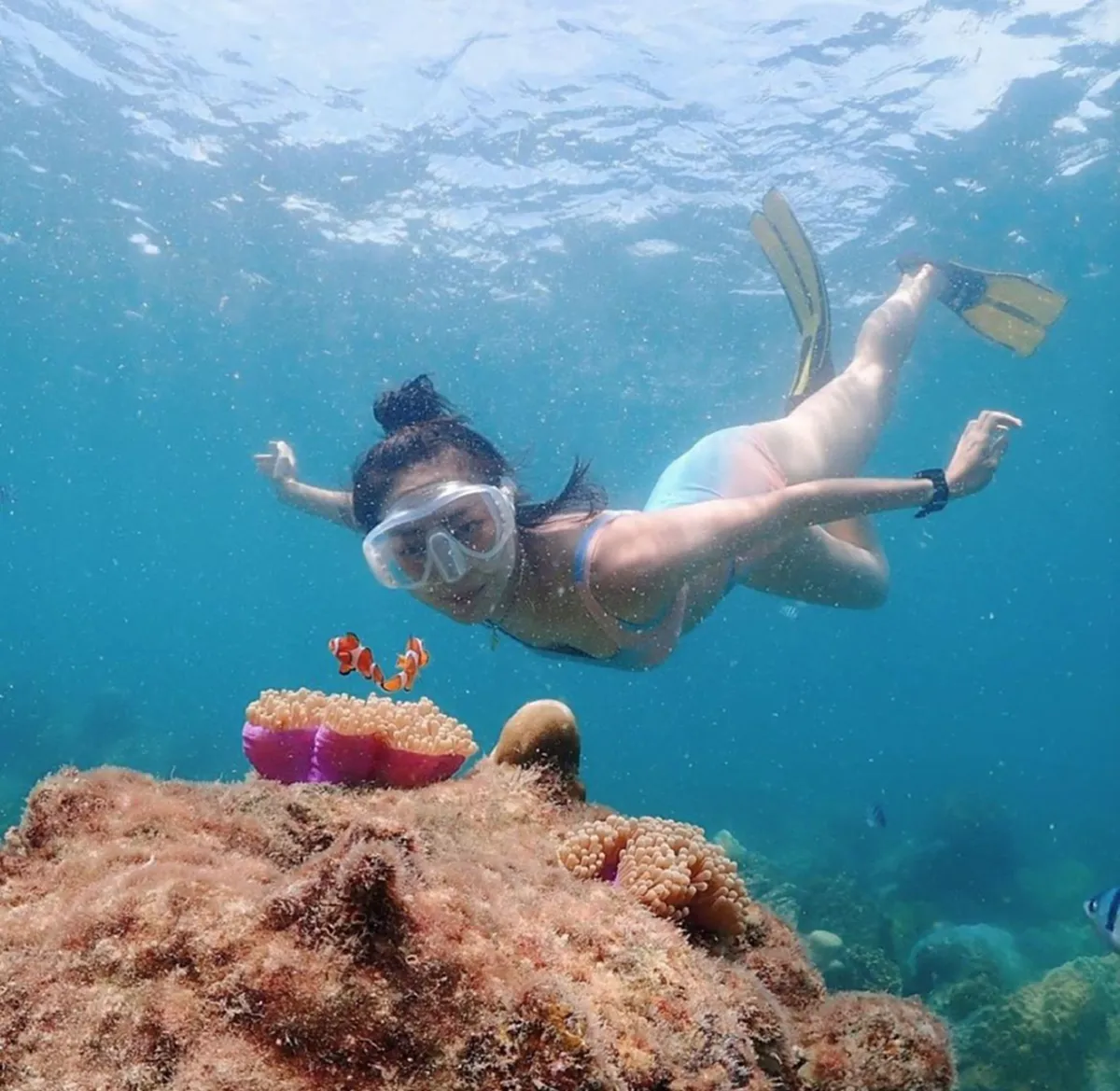 “แพนเค้ก เขมนิจ” ได้รับแต่งตั้งเป็น ทูตทะเลคนแรกของประเทศไทย