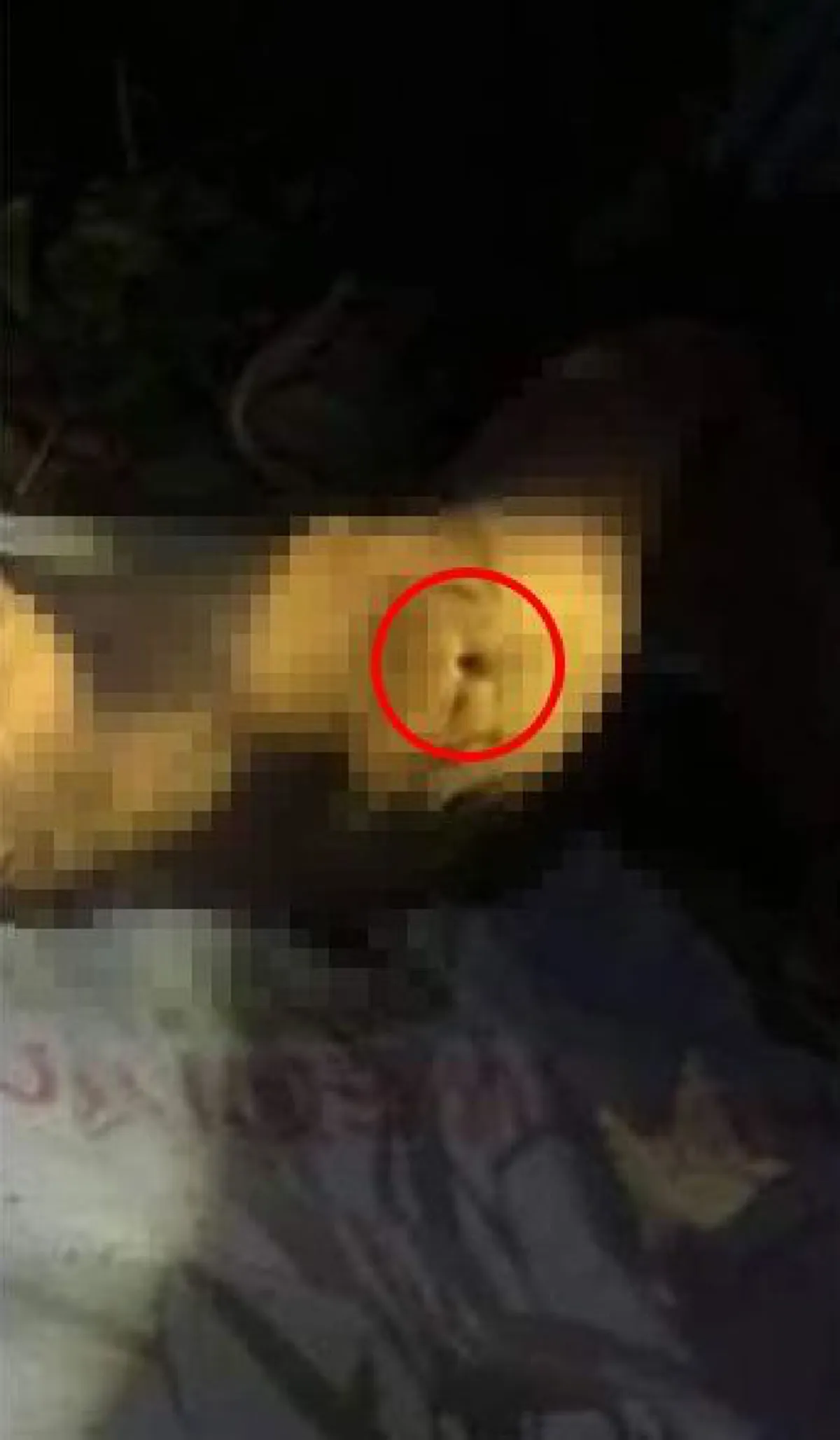 นิติเวชตำรวจ ยันพบหลักฐานเพิ่ม