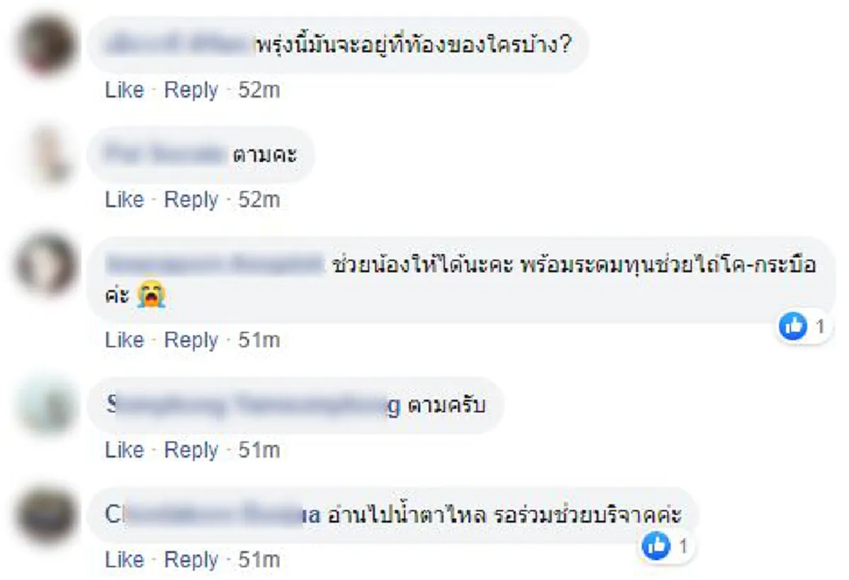 สุดเวทนา ว่อนภาพควาย6ตัวโผล่กลางกรุง หนีโรงเชือด เดินเร่ร่อนไร้คนสนใจ
