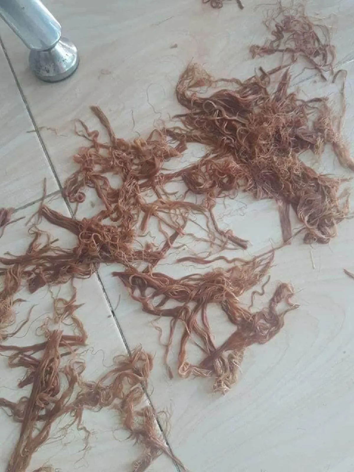 เจ้าของร้านเสริมสวยมือไม้สั่น ลูกค้าสาวเข้ามาขอแก้ผม เจอสภาพแทบอยากจะไล่ไปโกนหัวทิ้ง