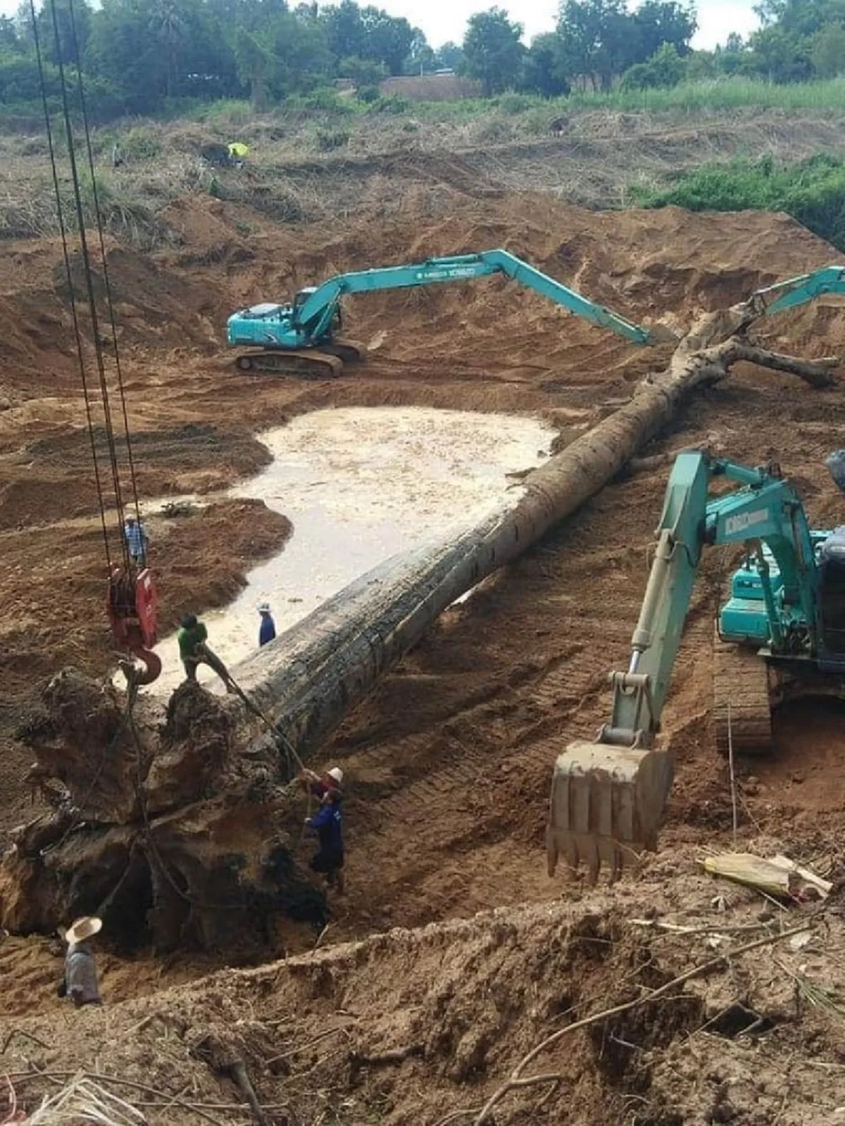 ชาวบ้านแห่กราบไหว้จนเห็น เลขธูปตะเคียนยักษ์ อายุ 700 ปี ในพิธีบวงสรวงสิ่งศักดิ์สิทธิ์ ชัด 3 ตัวตรงๆ