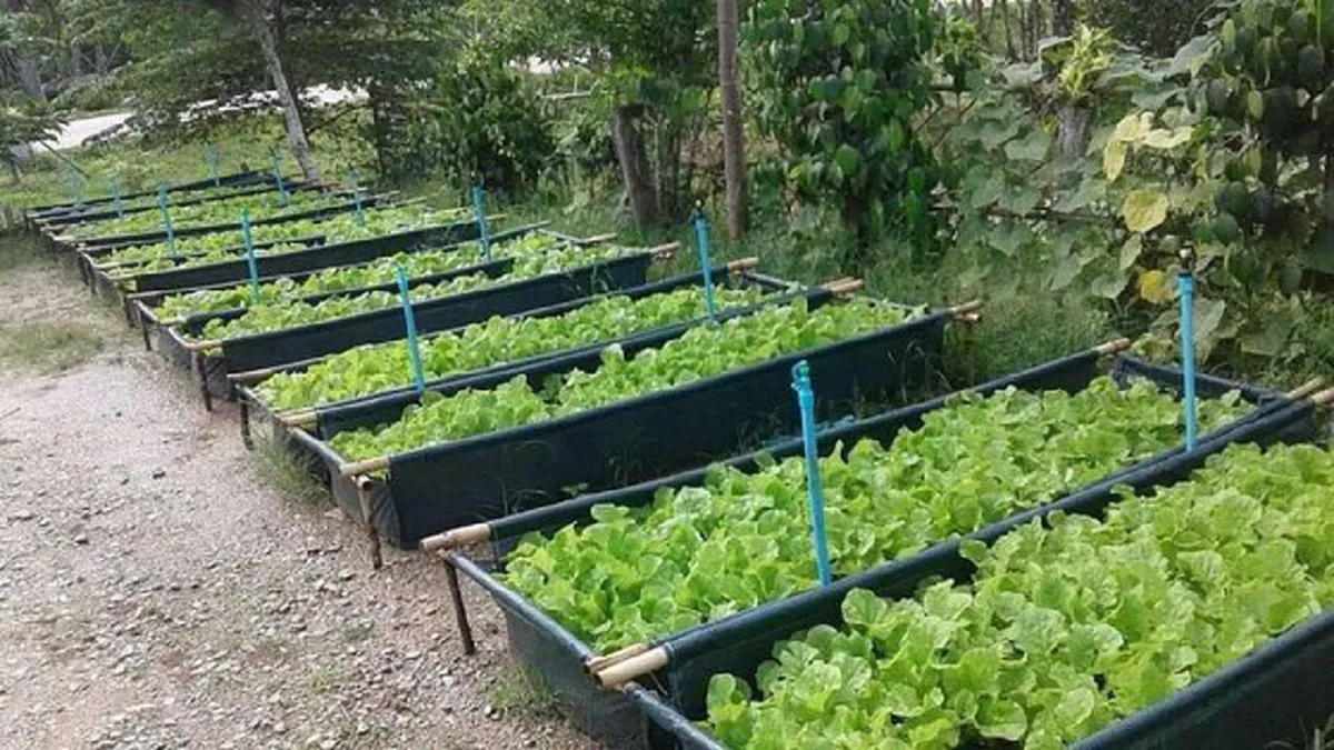 เดินหน้าลุย การสร้างความเข้มแข็งเศรษฐกิจฐานราก 1 ตำบล 1 กลุ่มเกษตรทฤษฎีใหม่