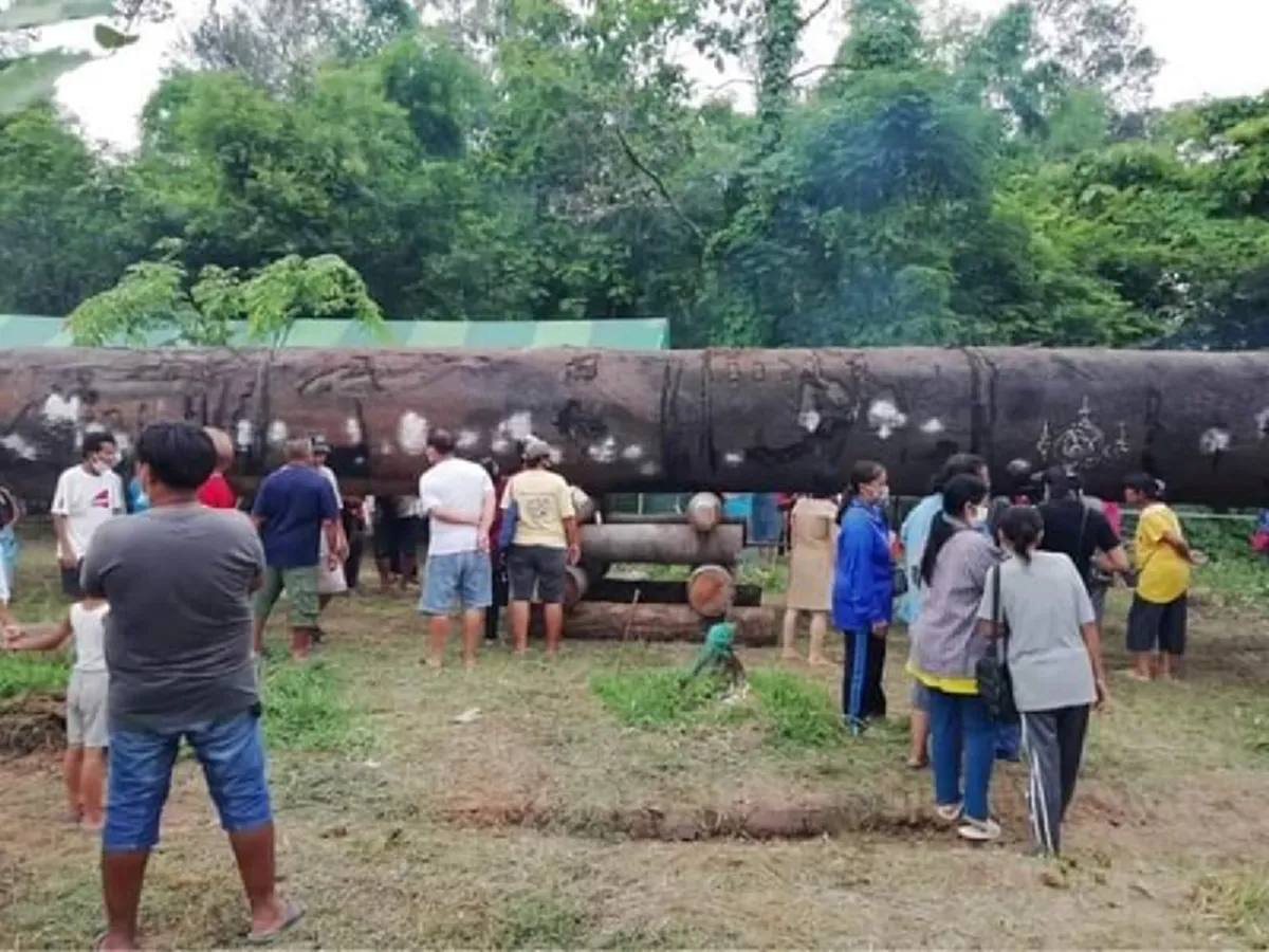 ชาวบ้านแห่กราบไหว้จนเห็น เลขธูปตะเคียนยักษ์ อายุ 700 ปี ในพิธีบวงสรวงสิ่งศักดิ์สิทธิ์ ชัด 3 ตัวตรงๆ