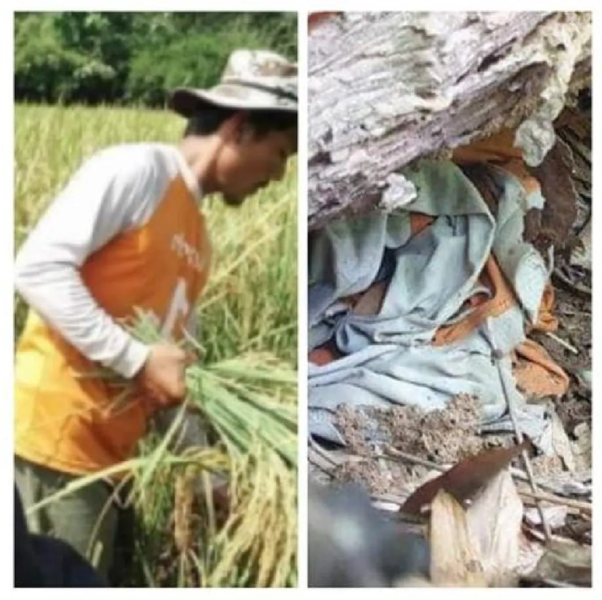 โซเชียลขุดภาพ 3 คนต้องสงสัย ใส่เสื้อส้ม หลังพบซุกใต้กอไผ่ ลุ้นปิดคดี
