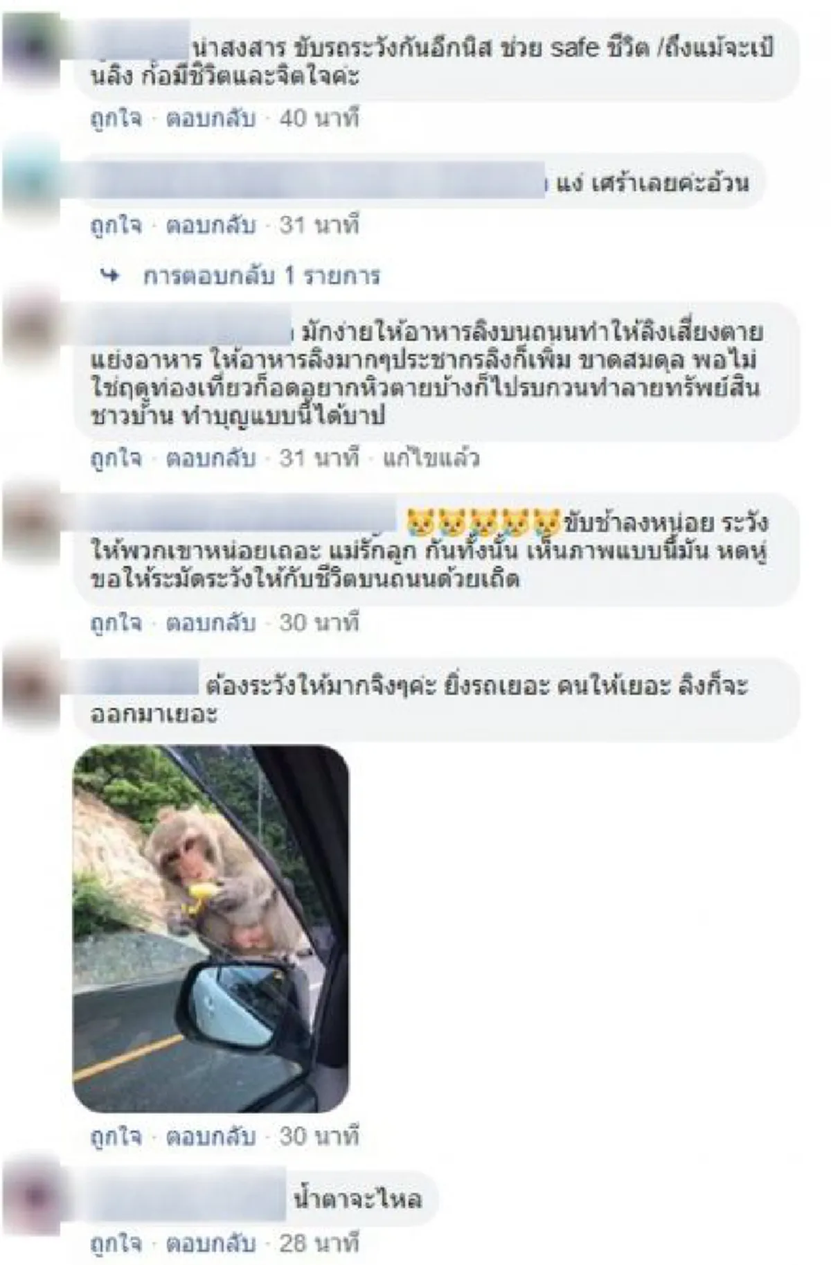 แม่ลิงแทบขาดใจ อุ้มร่างลูกลิงน้อย เสียชีวิตคาที่ ในมือยังถืออาหาร