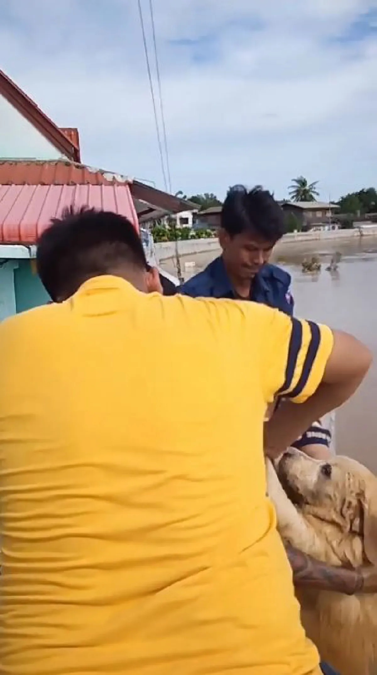 พลเมืองดีและเจ้าหน้าที่กู้ภัย เร่งช่วยชีวิตสุนัขโกลเด้นพลัดตกแม่น้ำ
