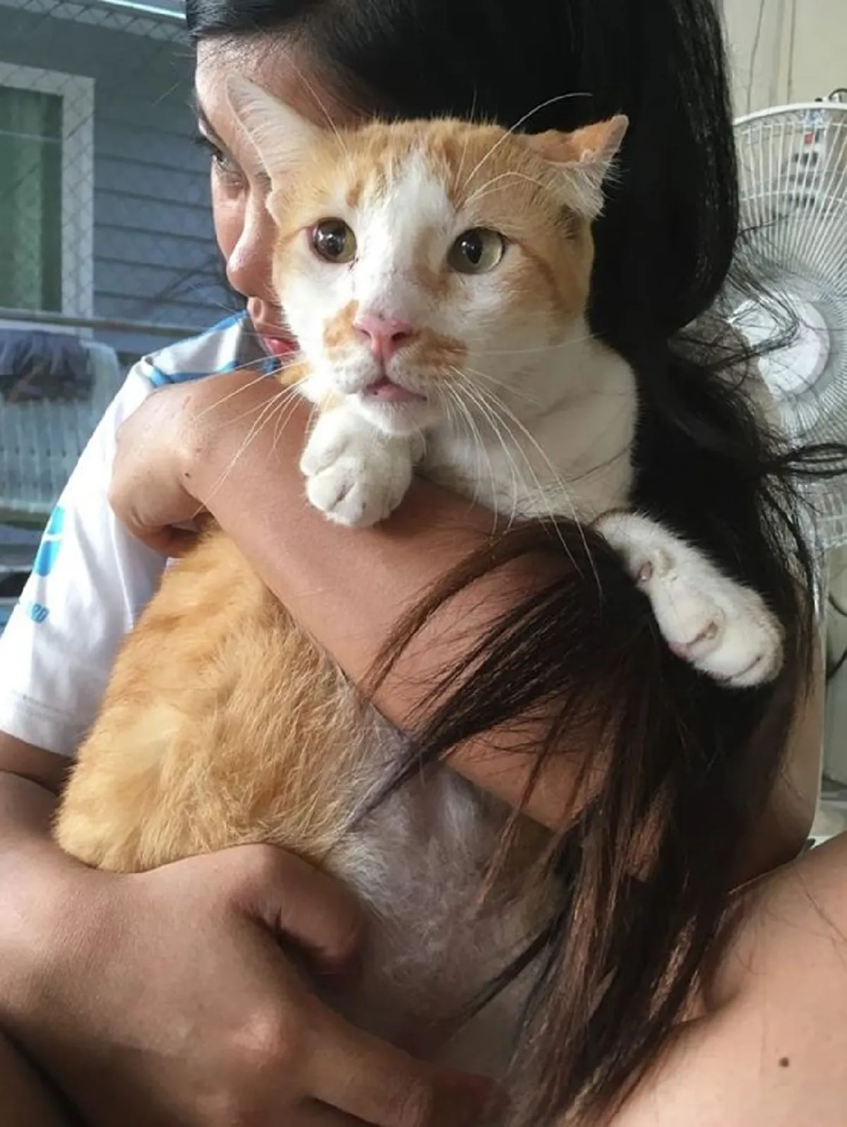 อดีตแมวจรกับแววตาที่ไร้ความสุข แต่พอมีบ้านความกำแหง ก็เข้ามาแทนที่