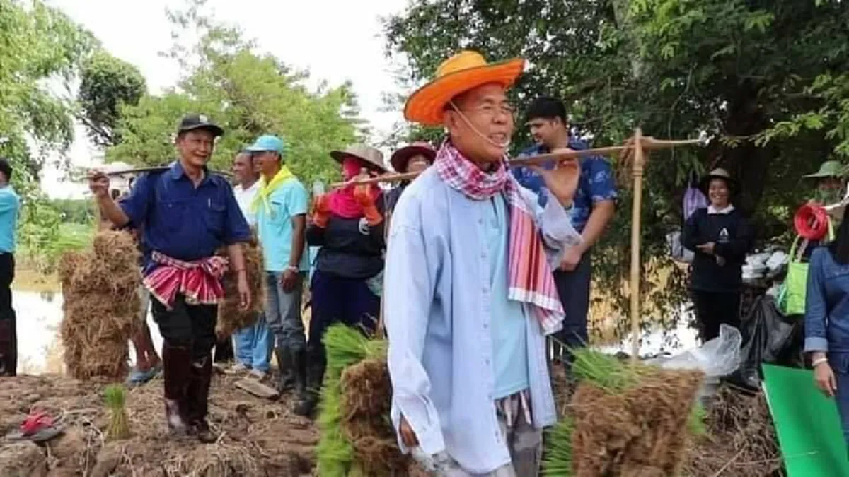 พ่อเมืองเลย หาบกล้า นำทีมลงแขกดำนา ช่วยชาวบ้านที่ถูกน้ำป่าซัด ไร่นาเสียหาย