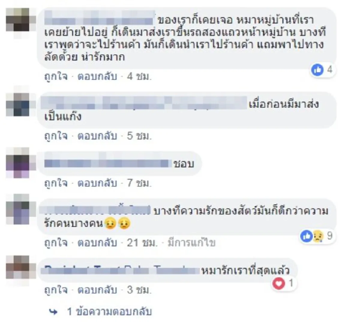 "พี่ตูบ" แสนดี เดินมาส่งน้องขึ้นรถโรงเรียนทุกเช้า ตอนเย็นก็มารอรับกลับบ้านด้วยทุกวัน